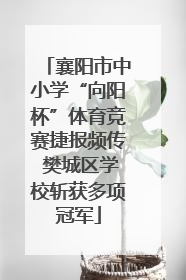 襄阳市中小学“向阳杯”体育竞赛捷报频传 樊城区学校斩获多项冠军
